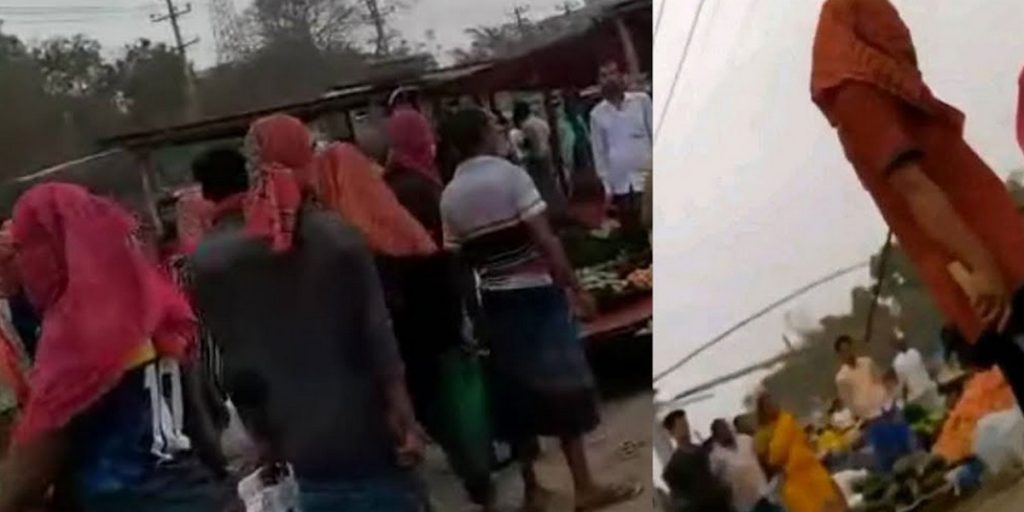 binodon69.com zubodol